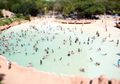 Berapa Banyak Urine yang Terkandung dalam Kolam Renang Umum?