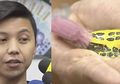 Viral! Seorang Pria Jadi PRT dan Digaji Rp 33 Juta per Bulan untuk Menyikat Kura-kura, Ternyata Inilah Fakta yang Sesungguhnya