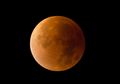 Malam Ini Supermoon Tiba, Akankah Ada Potensi Datangnya Tsunami?