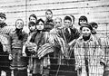Disebut Fadli Zon Lebih Manusia Dibanding Sel Ahmad Dhani, Ini Foto Kamp Auschwitz yang Bikin Merinding