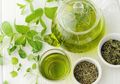 Selain Mampu Jadi Obat Herbal Masuk Angin, Daun Teh Hijau Bisa Cegah Kanker Hingga Tingkatkan Fungsi Otak