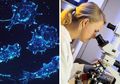 Para ilmuwan Mengklaim Obat Terbaik untuk Kanker Akan Siap Satu Tahun dari Sekarang