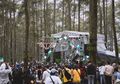 Orchid Forest Cikole, Tempat Lalala Fest 2019 yang Padukan Konsep Keindahan Alam dengan Spot Instagramable