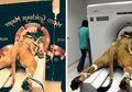 10 Foto Hoaks yang Viral, tapi Banyak Orang yang Percaya Kalau Asli