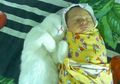 Menggemaskan! 10 Foto Bayi dan Hewan Peliharannya Ini Akan Menghangatkan Hati Anda !