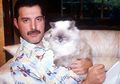 Kumpulan foto Freddie Mercury Bersama Kucing-kucing Kesayangannya