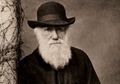 1000 Tahun Sebelum Charles Darwin, Ilmuwan Islam Temukan Teori Evolusi