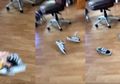 Vans Challenge: Tantangan Lempar Sneakers Vans yang Bakal Selalu Balik ke Posisi Normal