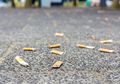 Duh, Puntung Rokok Termasuk 1 Dari 5 Sampah Terbanyak di Bumi