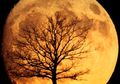 Bukan Cuma Supermoon, 8 Peristiwa Langit Ini Bisa Kamu Lihat di Bulan Maret 2019