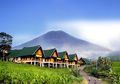 Lokasi Rumah Ternyata Mempengaruhi Keberuntungan, Ini Kata Pakarnya