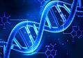 Hasilnya Sangat Akurat Hingga 100%, Seperti Ini Perkembangan Tes DNA