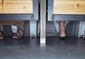Pintu Toilet Hanya Sebatas Lutut? Terungkap Ini Dia 5 Alasan yang Tak Banyak Diketahui