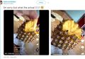 Sepertinya Cara Kita Mengupas Nanas Salah, Pria Ini Punya Solusi yang Lebih Cerdas, Mau Coba?
