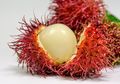 Rambutan, Buah Kaya Vitamin C dan Antoksidan yang Mampu Lancarkan Pencernaan Hingga Cegah Kanker!