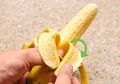Remaja Bertanya Sex: Kapan Penis Mulai Tumbuh dan Berhenti Membesar!