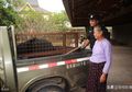 Ketika Seekor Beruang Memandang Seorang Nenek yang Besarkan dan Selamatkan Nyawanya 6 Tahun Lalu