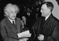 Setelah Tercecer 80 Tahun, Catatan Teori Einstein Ditemukan Kembali