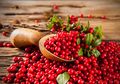 Melawan Infeksi Saluran Kemih dengan Ekstrak Cranberry, Apakah Bisa?