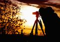 Tak Sekadar Wisata, Lakukan ‘Birdwatching’ di Taman Nasional Matalawa