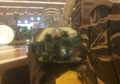 Kreatif! Intip Uniknya Aquarium di Dalam Dekorasi Batang Pohon