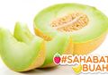 Sering Diabaikan, #SahabatBuah Pasti Tak Menyangka Efek Samping Makan Buah Melon Setiap Hari
