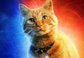 Apa sih Sebenarnya Flerken yang Merupakan Wujud Asli Goose, Kucing Captain Marvel?