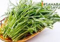 Makan Kangkung Bisa Bikin Ngantuk? Ini Penjelasan Ilmiah yang Wajib #SahabatSayur Harus Tahu!