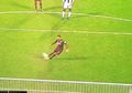 Viral, Ingin Coba Panenka Ala Lionel Messi, Pesepakbola Ini Kepeleset