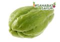 #SahabatSayur Harus Tahu 10 Manfaat Tersembunyi Makan Labu Siam, Salah Satunya Dapat Cegah Kanker!