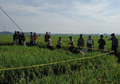 Air Sawah Mendidih di Purbalingga, Apa Penyebab Fenomena Ini?