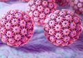 Belum Banyak Diketahui, 7 Jenis Virus yang Bisa Sebabkan Kanker