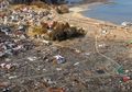 Setelah 8 Tahun, Ini yang Terjadi di Fukushima Setelah Dilanda Tsunami dan Bencana Nuklir