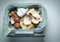 Bagus untuk Tanaman, Inilah Cara Buat Kompos di Rumah dengan Sisa Makanan Tanpa Berbau