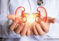 Jaga Kesehatan Ginjal dengan 5 Makanan dan Minuman yang Punya Khasiat Cuci Darah Ini, Salah Satunya Minuman yang Dipercaya Penambah Energi