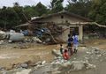 Pohon Besar Ikut Terbawa Banjir Bandang Sentani, Apakah Ada Hutan yang Gundul di Hulu?