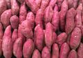 Tak Usah Gengsi Dibilang Ndeso, Kalau Tekanan Darah Anda Tinggi Cobalah Rutin Konsumsi Ubi Ungu, Merakyat dan Murah Pastinya Mudah Didapat!