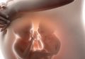 Studi: Perempuan yang Punya Saudara Kembar Laki-laki Lebih Cenderung Putus Sekolah, Ini Penjelasannya
