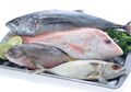 Kenali Aneka Ragam Ikan Laut yang Ada di Pasar, Supaya Tidak Tertukar