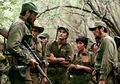 5 Tokoh Militer Ahli Perang Gerilya Tersohor Dunia, Indonesia Punya Salah Satunya