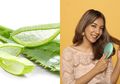 DIY Masker Rambut dari Lidah Buaya Untuk Rambut Sehat