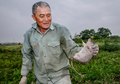 Di Vietnam dan Minahasa, Daging Tikus Jadi Santapan Lezat yang Populer Dibanding Daging Lainnya