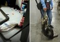 Terbangun Karena Sesuatu Menyetuh Lehernya, Gadis Ini Terkejut Temukan Ular Piton di Tempat Tidurnya