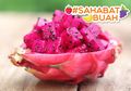 Rutin Konsumsi Buah Naga dan Rasakan 6 Khasiatnya untuk Tubuh #SahabatBuah