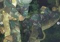 Viral Prajurit TNI 'Tidur Kalong' di Atas Pohon, Ini Maksud di Baliknya
