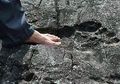 Penemuan Jejak Kaki Raksasa: Telapak Kaki Raksasa atau Buatan Manusia?