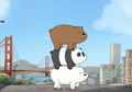 Kisah Di Balik 'We Bare Bears' Dari Sang Kreator: Kartun Ini Representasi bagi Minoritas