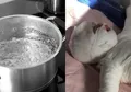 Duh, Bayi Ini Menderita Luka Bakar Mengerikan Setelah Jatuh ke Dalam Air Mendidih