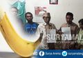 Pria di Probolinggo Dipolisikan oleh Mertuanya karena Diduga Punya Alat Vital Jumbo