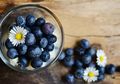 Blueberry, Si Biru Buah Sehat yang Ampuh Cegah Diabetes dan Kanker!